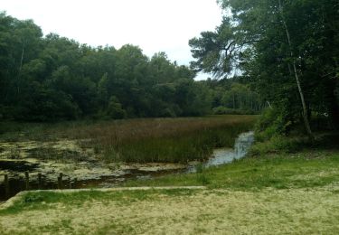 Excursión Senderismo Poigny-la-Forêt - Poigny la forêt - Photo