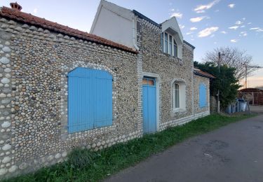 Excursión Senderismo L'Île-d'Yeu - La Meule_la plage des Vieilles - Photo