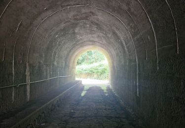 Tocht Stappen Marche-en-Famenne - L'incontournable fond des Vaux - Photo