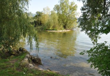 Excursión A pie Zug - Brüggli - Blickensdorf - Photo