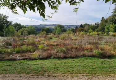 Tour Wandern Limoges - Limoges moulin blanc parcs - Photo