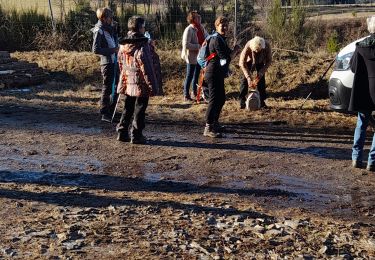 Trail Walking Soudeilles - Soudeillette - Photo