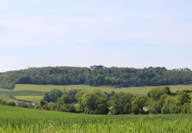 Tocht Stappen Torcy-le-Petit - La Vallée de la Varenne , vu du haut de Torcy - Photo