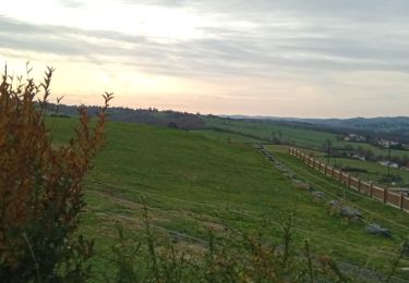 Trail Walking Saint-Bonnet-les-Oules - Saint-Bonnet-les-Oules du 26-12-2022 - Photo