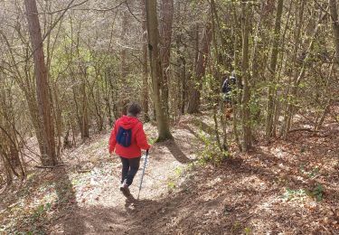 Tocht Stappen Couvin - Tamalous de la Botte 2024.03.28 - Photo