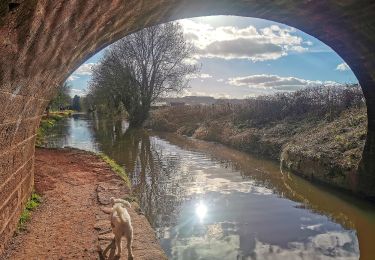 Percorso A piedi Mid Devon - Swan's Neck - Photo