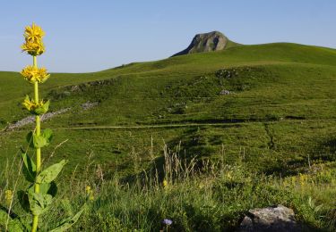 Randonnée Marche Murat-le-Quaire - Murat_Quaire_Ordanche - Photo