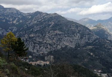 Trail Walking Gorbio - Circuit des Cabanelles - Photo