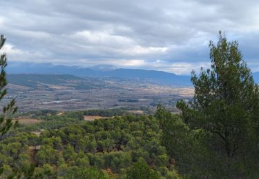 Trail Walking Roaix - Entre Ouvèze & Aygues - Photo