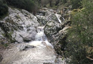 Excursión Senderismo Saint-Péray - Tourtousse  - Photo