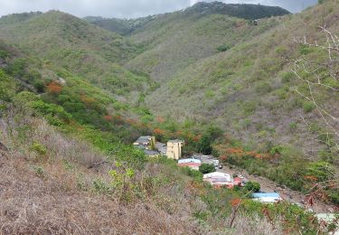 Trail Walking Bellefontaine - Morne  Potain - Mairie Bellefontaine - Photo