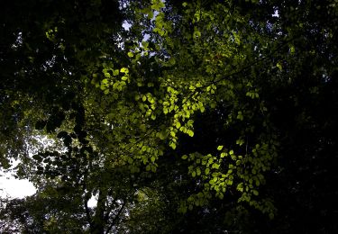 Tour Zu Fuß  - Härsnäsrundan - Photo