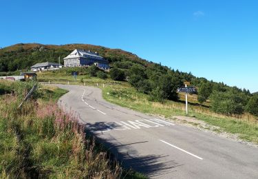 Tocht Stappen Soultz-Haut-Rhin - Grand Ballon - Photo