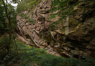 Tocht Te voet Hirschau - Expedition Erdgeschichte Massenricht - Photo