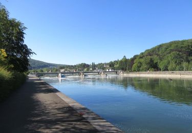 Tocht Stappen Profondeville - GG-Na-19_ Lustin - Namur - Photo