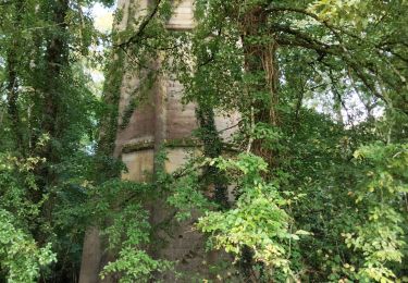 Randonnée Marche Sorges et Ligueux en Périgord - lanemary patrice  - Photo