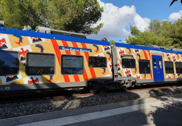 Excursión Senderismo Martigues - La Couronne Sausset les Pins - Photo