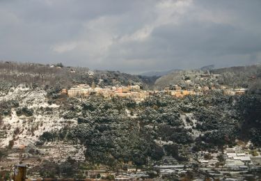 Percorso A piedi Nemi - Le Piagge di Genzano - Monte Cavo - Photo