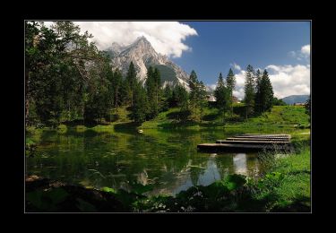 Tocht Te voet San Vito di Cadore - Sentiero CAI n. 458 - Photo