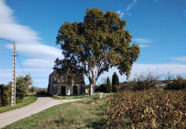 Tour Wandern Pernes-les-Fontaines - pernes les terres mortes  - Photo