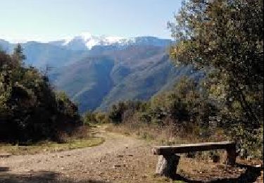 Excursión Senderismo Joch - Joch (12/10/2017) - Photo