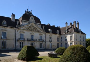 Percorso A piedi Fontaine-Française - Circuit du Fourneau - Photo