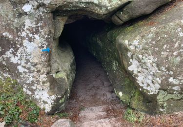 Randonnée Marche Fontainebleau - Jupiter - Photo