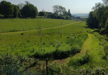 Tocht Stappen Itter - Promenade Piedescaus  - Photo