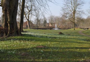 Randonnée A pied Kappeln - Schönhagen-Brodersby - Photo