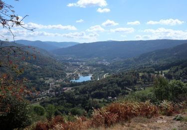 Randonnée Marche Thiéfosse - Thiéfosse - tourbière de Charmes par la côte de Fraine - Photo