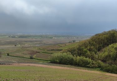 Tour Mountainbike Urbach bei Kaysersberg - Freland Ammerschwihr 3 Epis Labaroche - Photo