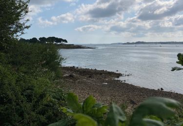 Trail Walking Plougrescant - Tour de Plougrescant - Photo