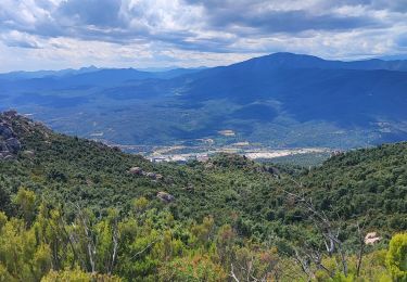 Trail Walking la Vajol - etp43  Gr11  - Photo