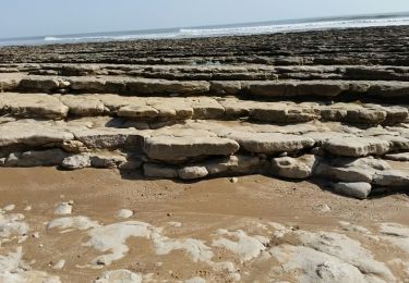 Randonnée Marche Jard-sur-Mer - Jard sur mer - Pointe du Payré - Photo