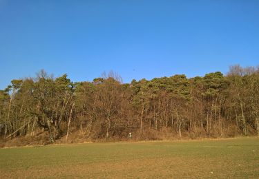 Percorso A piedi Schaafheim - Parkplatzrundwanderweg Rosenhöhe 2 : Rosenhöhe-Weg - Photo