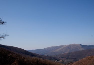 Randonnée A pied Vaglia - Sentiero CAI 9 - Sez. Sesto Fiorentino - Photo