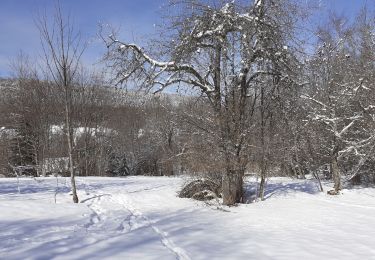 Trail Snowshoes Les Déserts - plainpalais circuit - Photo