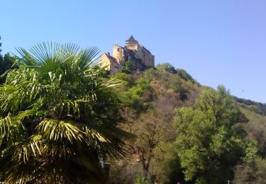 Randonnée Marche Castelnaud-la-Chapelle - Vézac 20,5km - Photo