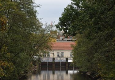 Randonnée A pied Bietigheim-Bissingen - 3B-Land - Photo