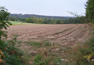 Randonnée Marche Jullianges - vallée de la dorette - Photo