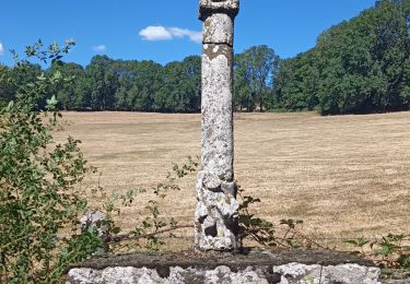 Tocht Stappen Curières - la croix du Pal - Photo