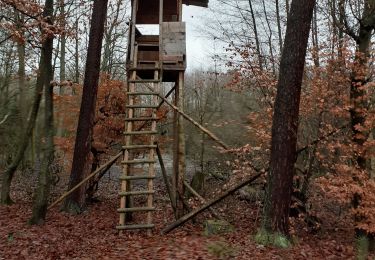 Tocht Stappen Weitbruch - Weitbruch affût possible  - Photo