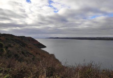 Trail Walking Roscanvel - roscan - Photo
