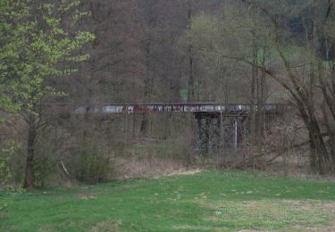 Percorso A piedi Weidenberg - Weidenberg Rundwanderweg Nr. 4 - Photo