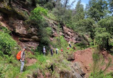Percorso Marcia Trans-en-Provence - Le vallon du Rousset et le vallon des Prouits - Photo