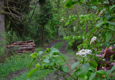 Tocht Te voet Horb am Neckar - Äußerer Hauptweg - Mühlen am Neckar - Weg-6 - Mühlen am Neckar - Ahldorf - zu blauer Strich (Eyach - Mühringen) - Photo