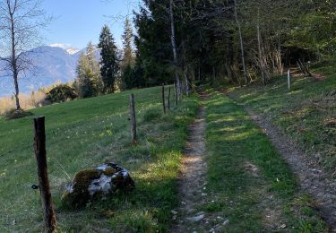 Tour Wandern Miribel-les-Échelles - Circuit panoramique au départ de Miribelle - Photo