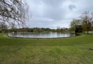 Randonnée Marche Woluwe-Saint-Lambert - Balade à woluwé - Photo