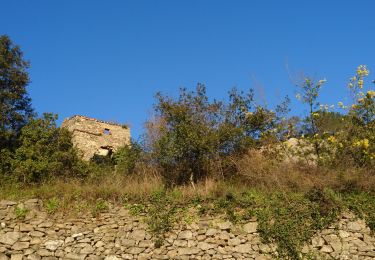 Excursión Senderismo Le Perthus - fort de Bellegarde Panissars pistes  - Photo