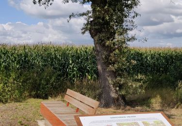 Trail Walking Merksplas - Vossenbergwandeling - Photo